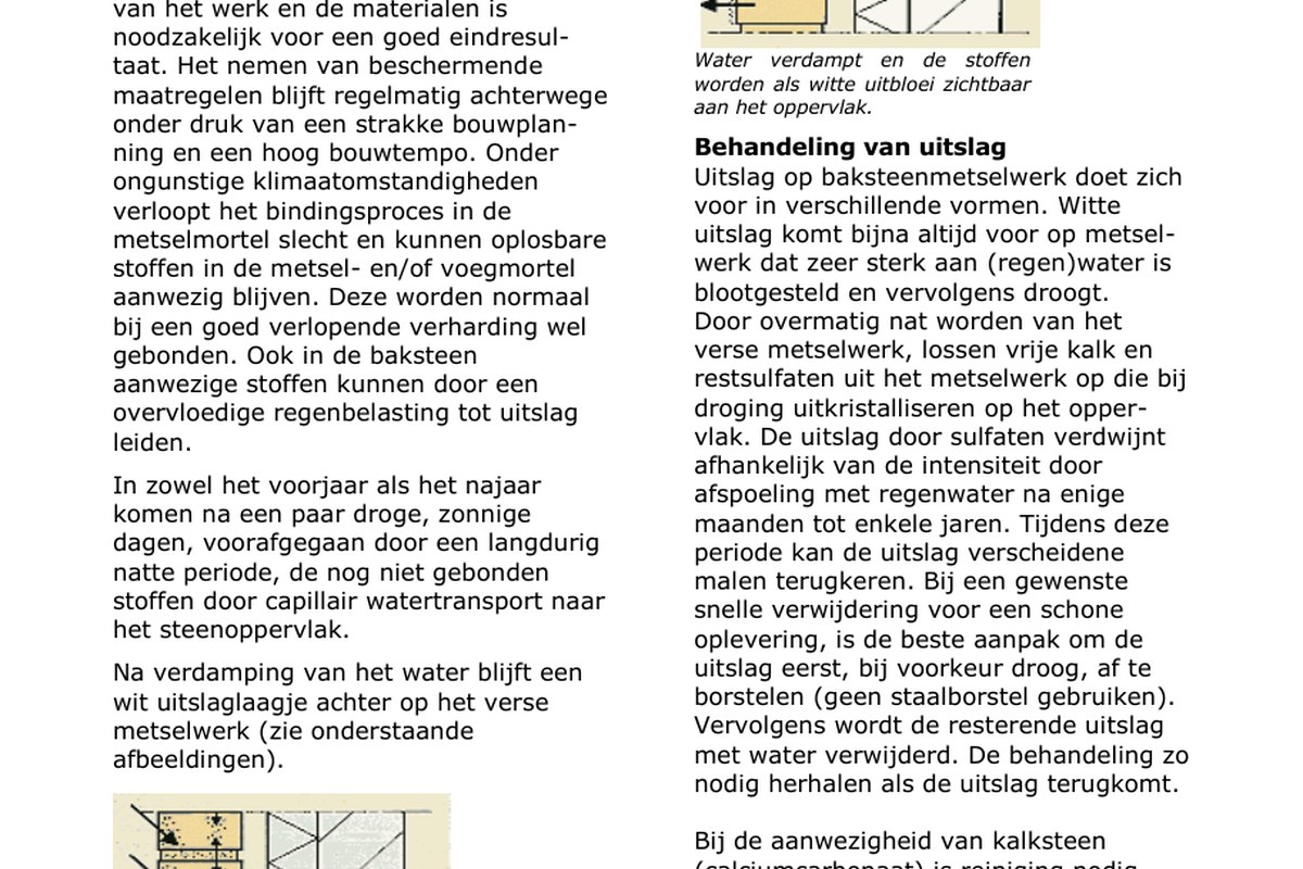 KNB Infoblad 33 over witte uitbloei